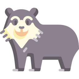 Spectacled bear icon