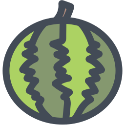 Watermelon icon