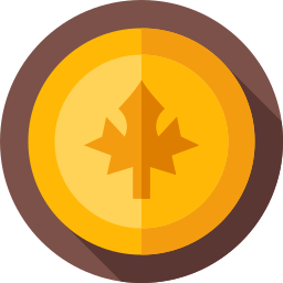 Coin icon