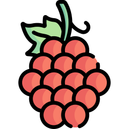 Grapes icon