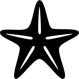 stella di mare a forma di cinque punte icona