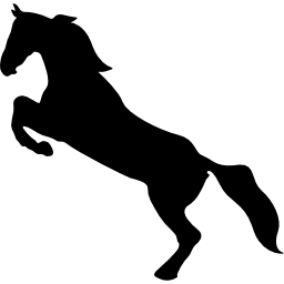 cavallo in piedi sulle zampe posteriori icona