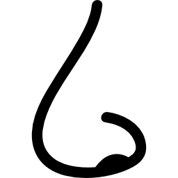 Nose line icon