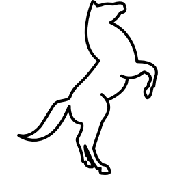 Stand up horse outline icon