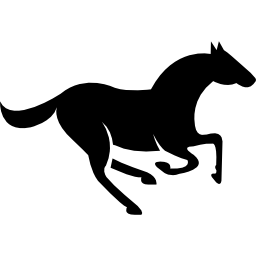 widok z boku biegnącego konia ikona