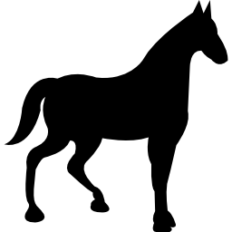 czarna sylwetka konia wyścigowego ikona