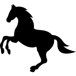 wildes schwarzes pferd, das vorderfuß anhebt icon