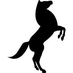 Big horse stand up pose on back paws icon