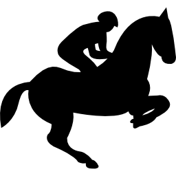 springendes pferd mit jockey-silhouette icon