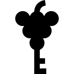 schlüssel mit traubenform icon