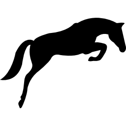 Black jumping horse with face looking to the ground icon