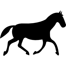 czarny koń wyścigowy chodzący poza ikona