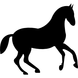 cavalo preto de corrida dançando Ícone