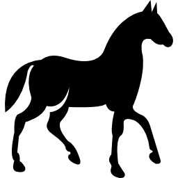 cavallo da corsa nero sulla vista laterale posa a piedi icona