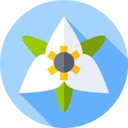 Bunchberry icon