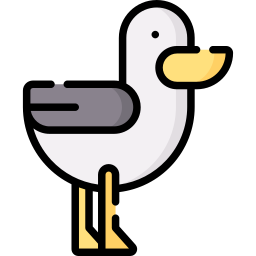 möwe icon