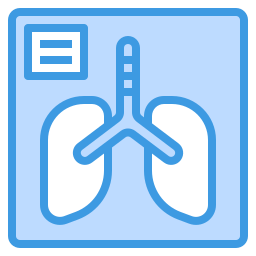 X-ray icon