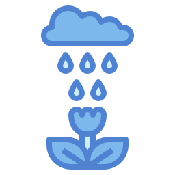 Rainy icon