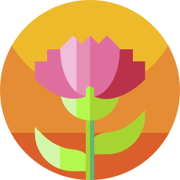 Carnation icon