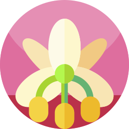 Flower icon