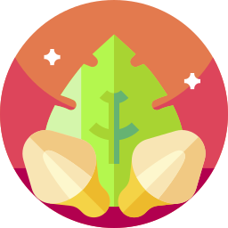 colocasia esculenta icono