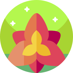 Amaryllis icon