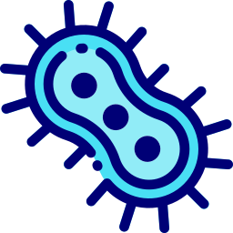 Eukaryote icon