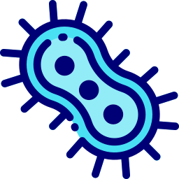 진핵 생물 icon