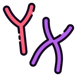 Chromosome icon