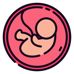 feto icono