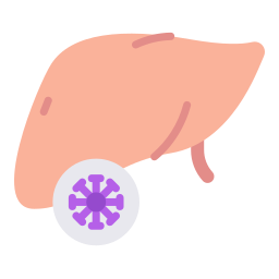 fígado Ícone