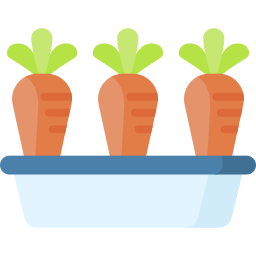 Carrot icon