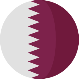 カタール icon