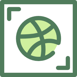 Dribbble icon