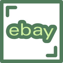 ebay Icône