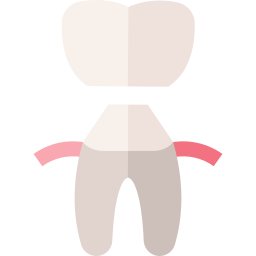 치과 용 크라운 icon