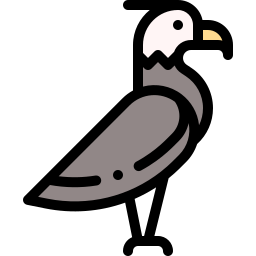 Eagle icon