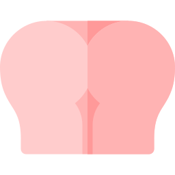 anal icono