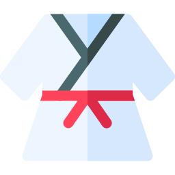 karate icon