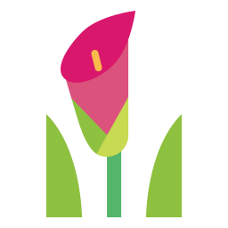lilly icono