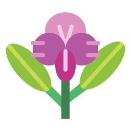 orchidee icon