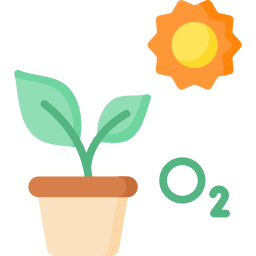 Photosynthesis icon