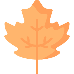 Autumn tree leaves icon