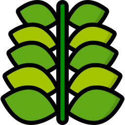 植物 icon