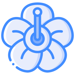 blume icon