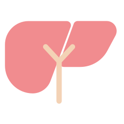 Liver organ icon