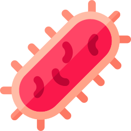 bactérie Icône