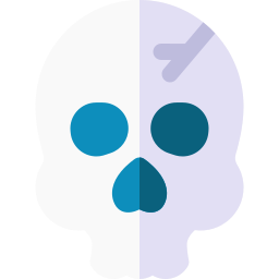 Skull icon