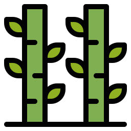 Bamboo icon