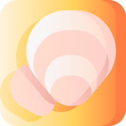 Clam icon